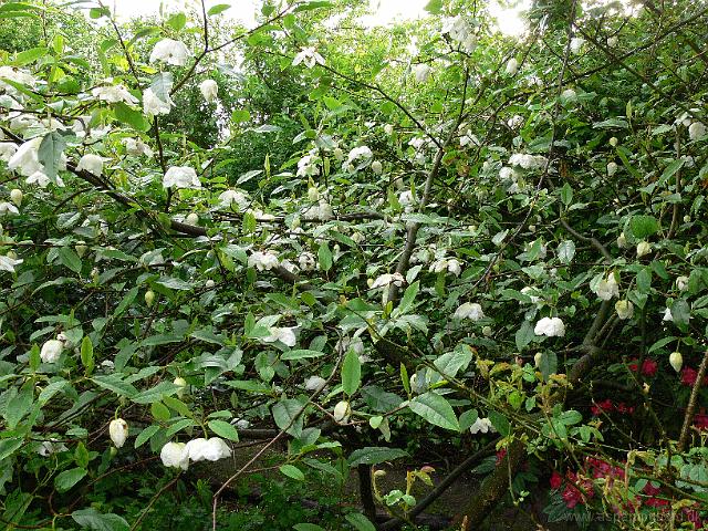 28-05-2006_08-14-19_50