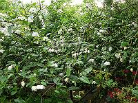 28-05-2006_08-14-19_50