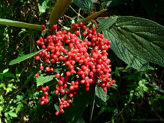 04-09-2007_13-58-25_86