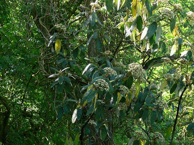 26-05-2006_09-38-26_31