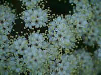 2012-05-27_09-14-21_0196