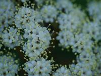 2012-05-27_09-14-29_0199