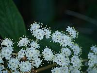 2012-05-27_09-14-59_0208